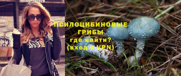 прущая мука Арсеньев