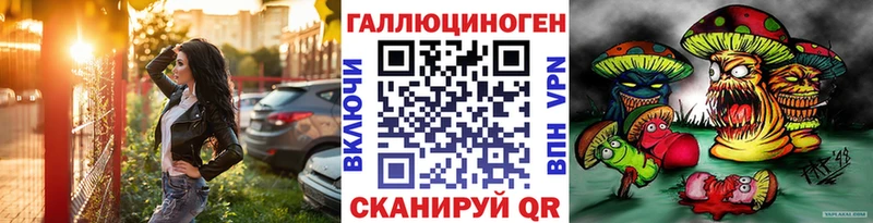 Купить закладки  Починок  Галлюциногенные грибы Psilocybe 